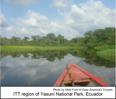 Yasuni photo